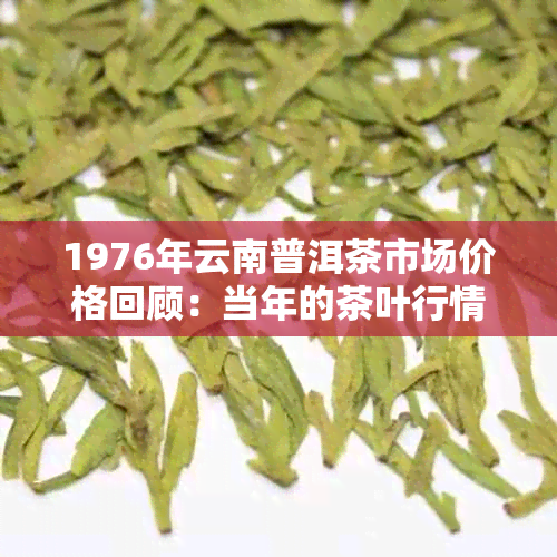 1976年云南普洱茶市场价格回顾：当年的茶叶行情与如今的对比分析