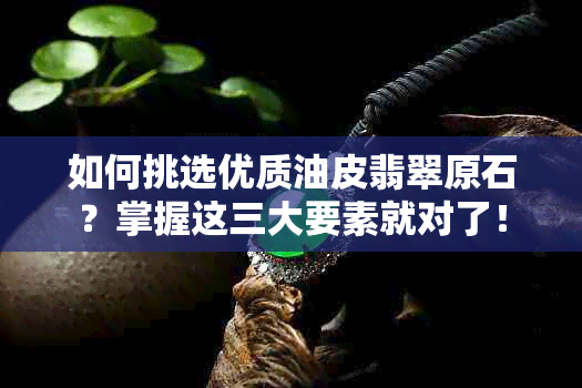 如何挑选优质油皮翡翠原石？掌握这三大要素就对了！