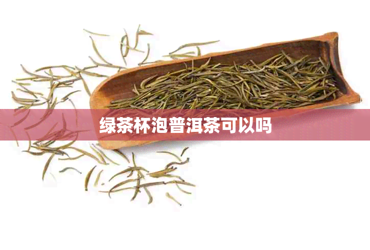 绿茶杯泡普洱茶可以吗