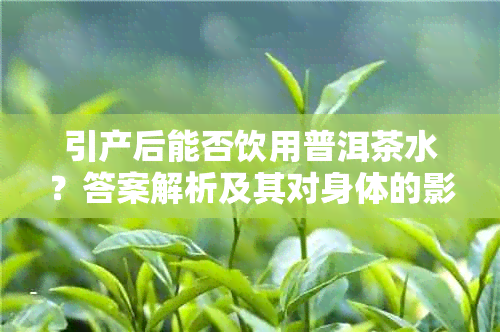 引产后能否饮用普洱茶水？答案解析及其对身体的影响