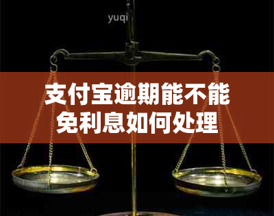 支付宝逾期能不能免利息如何处理