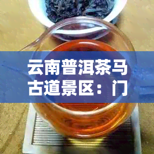 云南普洱茶马古道景区：门票，好玩程度，照片，地理位置