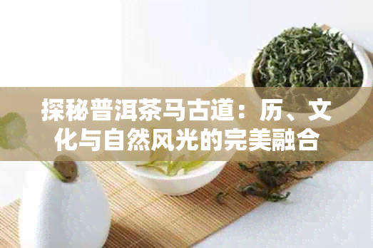 探秘普洱茶马古道：历、文化与自然风光的完美融合