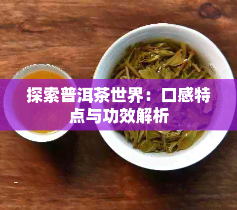 探索普洱茶世界：口感特点与功效解析