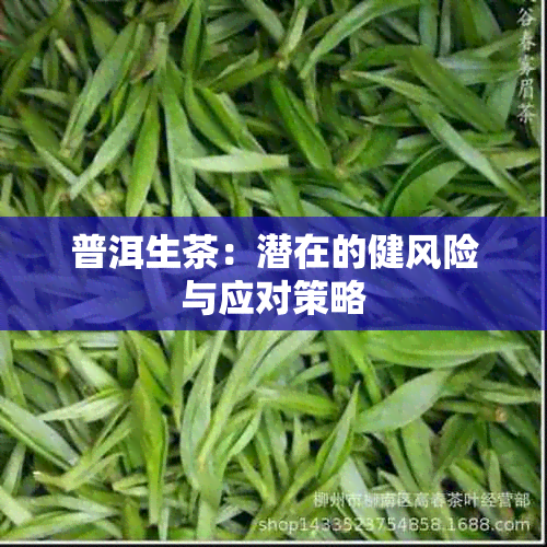 普洱生茶：潜在的健风险与应对策略