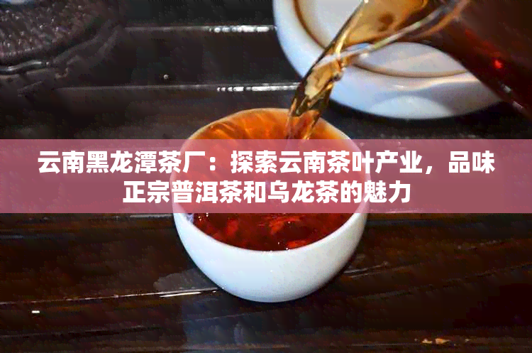 云南黑龙潭茶厂：探索云南茶叶产业，品味正宗普洱茶和乌龙茶的魅力