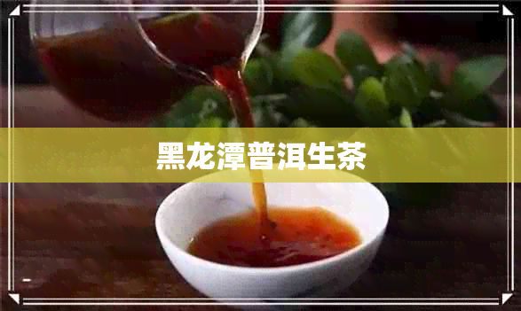 黑龙潭普洱生茶