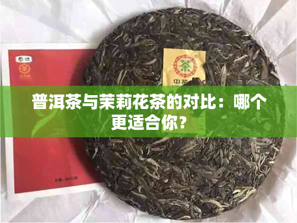 普洱茶与茉莉花茶的对比：哪个更适合你？