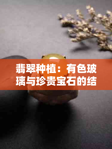 翡翠种植：有色玻璃与珍贵宝石的结合之路