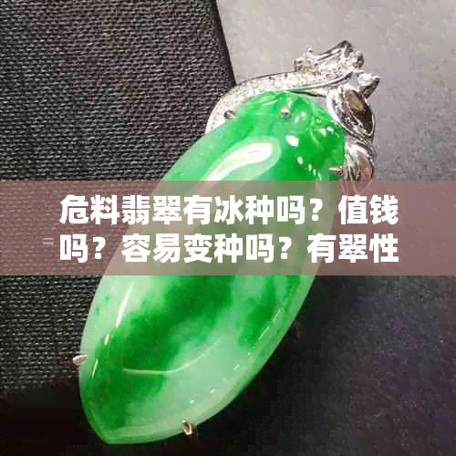 危料翡翠有冰种吗？值钱吗？容易变种吗？有翠性吗？