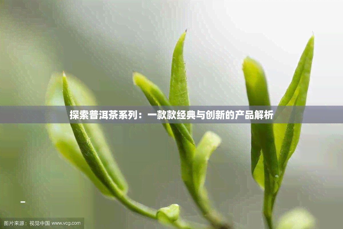 探索普洱茶系列：一款款经典与创新的产品解析