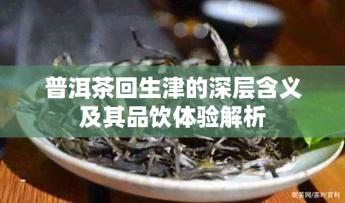 普洱茶回生津的深层含义及其品饮体验解析