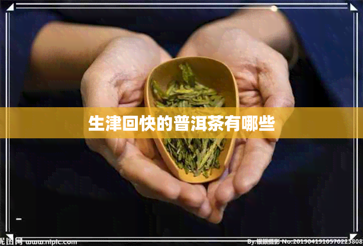 生津回快的普洱茶有哪些