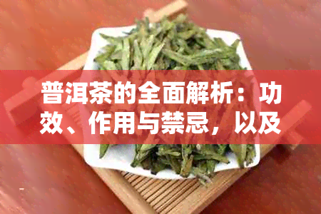 普洱茶的全面解析：功效、作用与禁忌，以及如何正确饮用和存