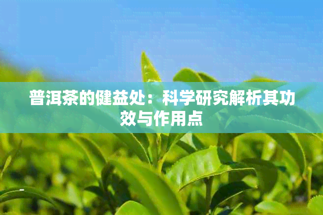 普洱茶的健益处：科学研究解析其功效与作用点