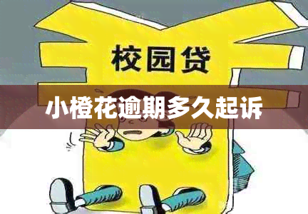 小橙花逾期多久起诉