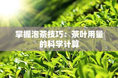 掌握泡茶技巧：茶叶用量的科学计算