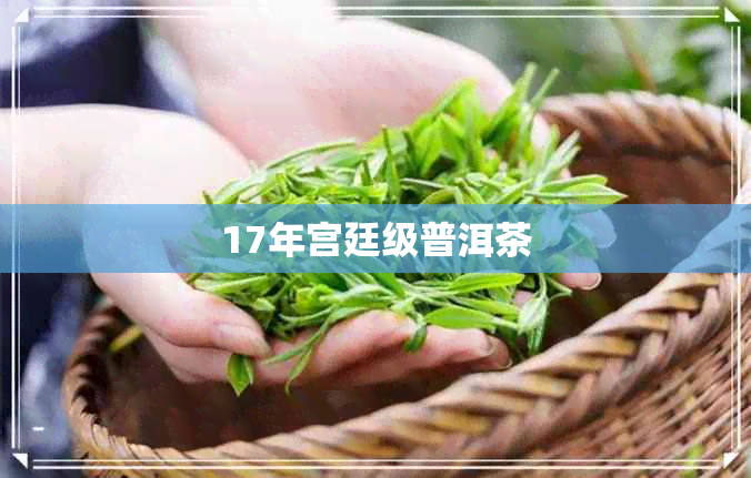 17年宫廷级普洱茶