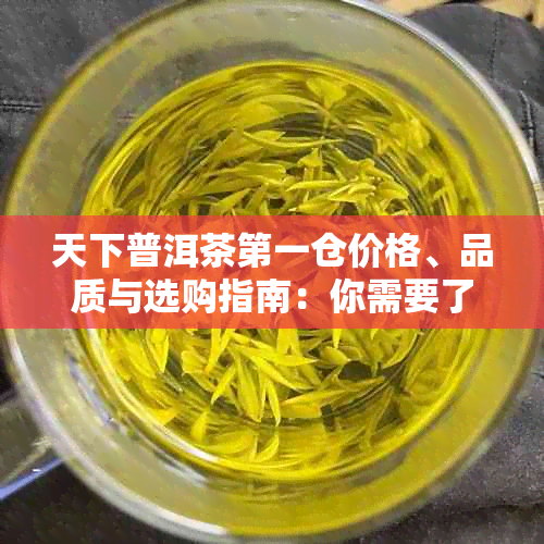 天下普洱茶之一仓价格、品质与选购指南：你需要了解的一切都在这里