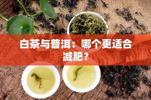 白茶与普洱：哪个更适合减肥？