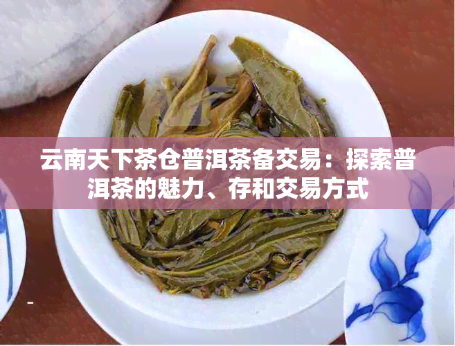 云南天下茶仓普洱茶备交易：探索普洱茶的魅力、存和交易方式