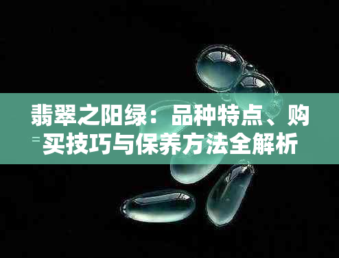 翡翠之阳绿：品种特点、购买技巧与保养方法全解析