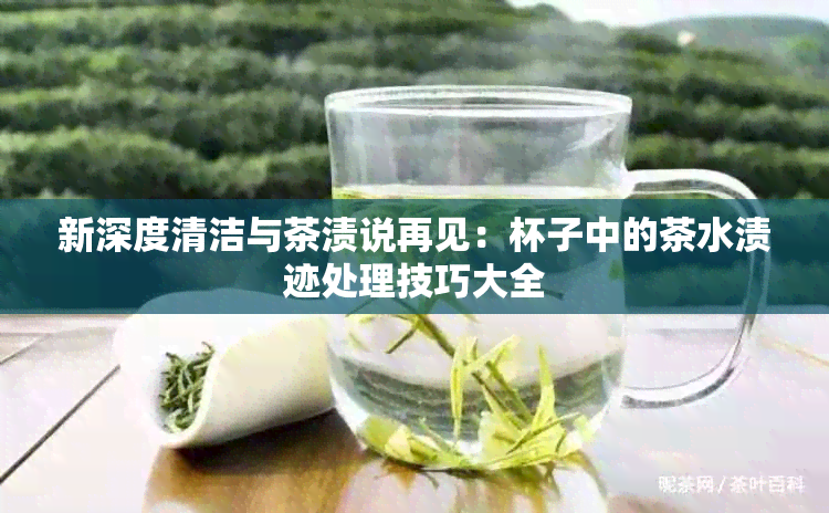 新深度清洁与茶渍说再见：杯子中的茶水渍迹处理技巧大全