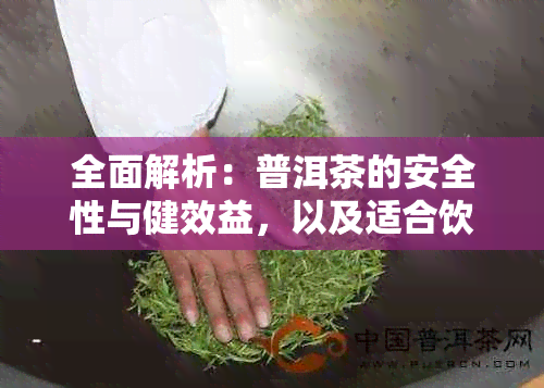 全面解析：普洱茶的安全性与健效益，以及适合饮用人群