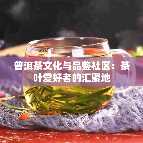 普洱茶文化与品鉴社区：茶叶爱好者的汇聚地