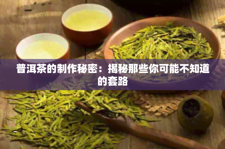 普洱茶的制作秘密：揭秘那些你可能不知道的套路