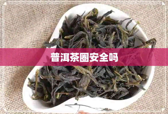 普洱茶圈安全吗