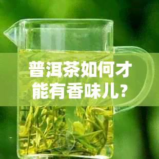 普洱茶如何才能有香味儿？