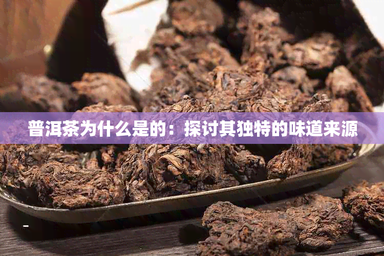 普洱茶为什么是的：探讨其独特的味道来源