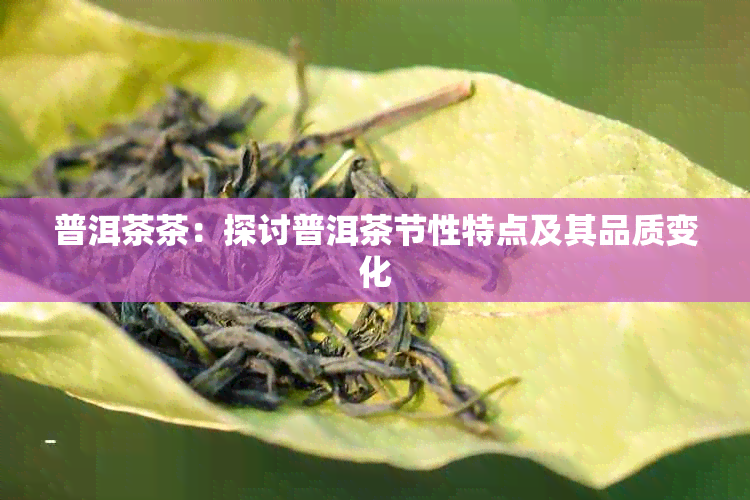 普洱茶茶：探讨普洱茶节性特点及其品质变化