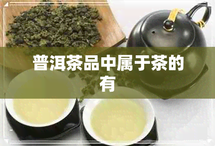 普洱茶品中属于茶的有