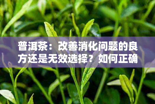 普洱茶：改善消化问题的良方还是无效选择？如何正确饮用以达到效果？