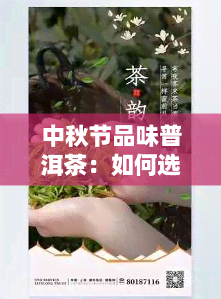 中秋节品味普洱茶：如何选择、品鉴与赠送，让你的中秋更加有心意