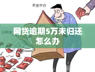 网贷逾期5万未归还怎么办