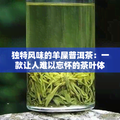 独特风味的羊屎普洱茶：一款让人难以忘怀的茶叶体验