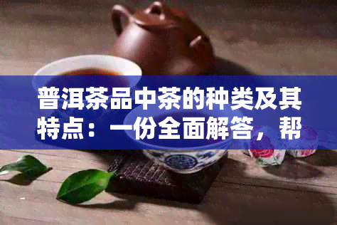 普洱茶品中茶的种类及其特点：一份全面解答，帮助您挑选适合的茶叶