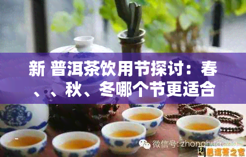 新 普洱茶饮用节探讨：春、、秋、冬哪个节更适合？