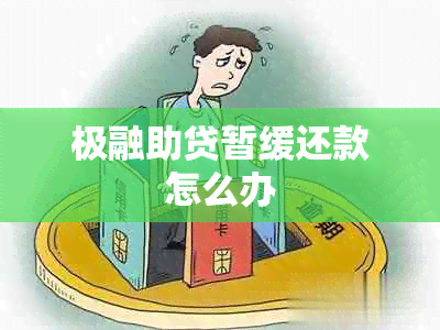 极融助贷暂缓还款怎么办