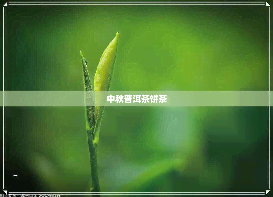 中秋普洱茶饼茶