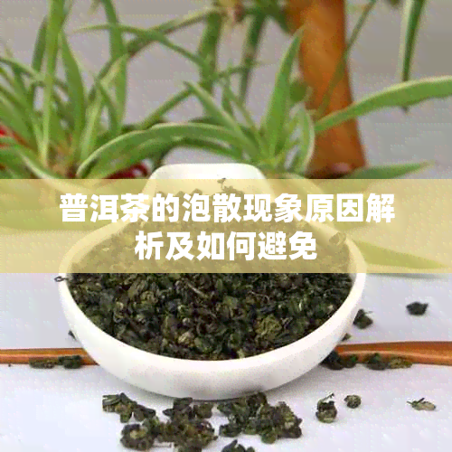 普洱茶的泡散现象原因解析及如何避免