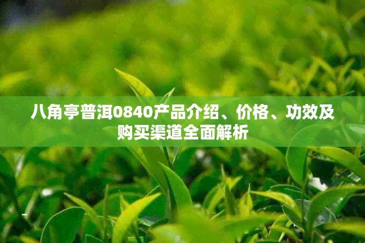 八角亭普洱0840产品介绍、价格、功效及购买渠道全面解析