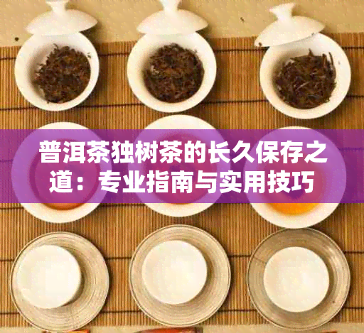 普洱茶独树茶的长久保存之道：专业指南与实用技巧