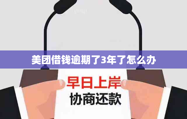 美团借钱逾期了3年了怎么办