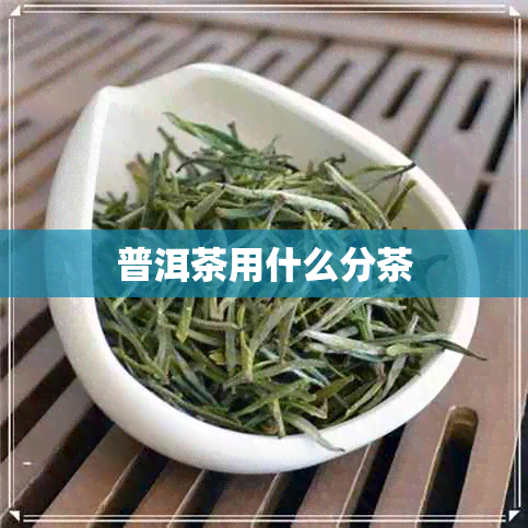 普洱茶用什么分茶