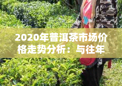 2020年普洱茶市场价格走势分析：与往年相比有何变化？