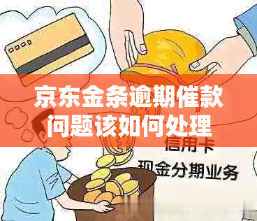 京东金条逾期催款问题该如何处理